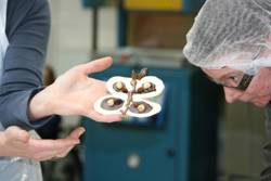 Workshop bij chocolaterie Duval